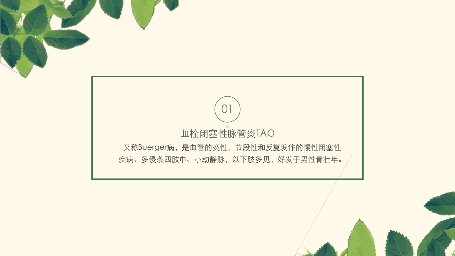 执业医师考试中的周围血管疾病课件.pptx_第3页