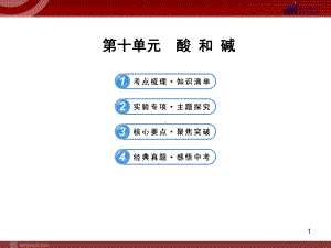 新人教版中考化学专题复习课件：第10单元-酸和碱.ppt