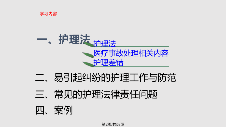 护理相关法律法规培训教案课件.pptx_第3页