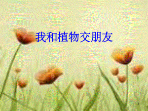 我和植物交朋友课件.ppt