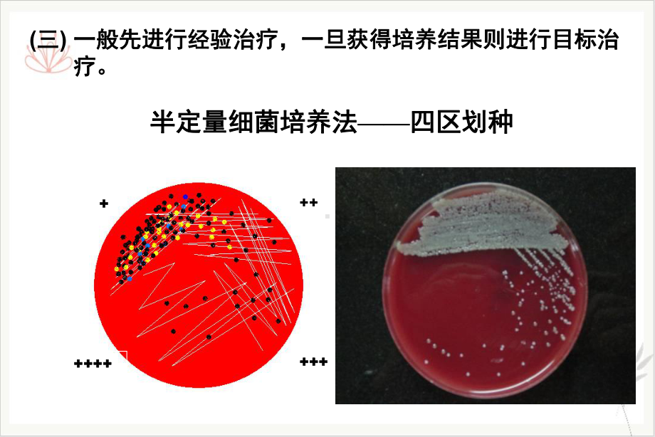 抗生素临床合理应用课件(模板).ppt_第2页