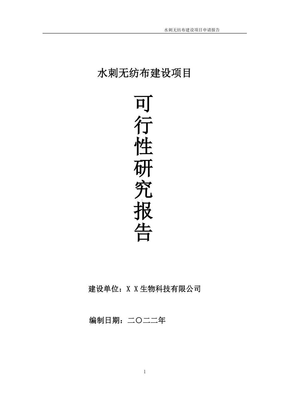 水刺无纺布项目可行性研究报告备案申请模板.doc_第1页