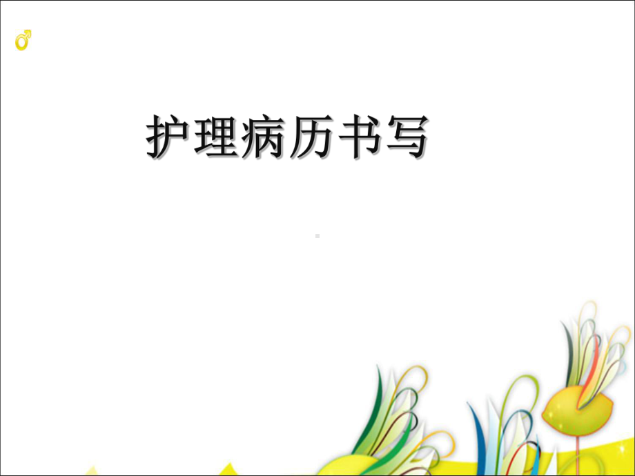 护理文件书写-课件.ppt_第2页