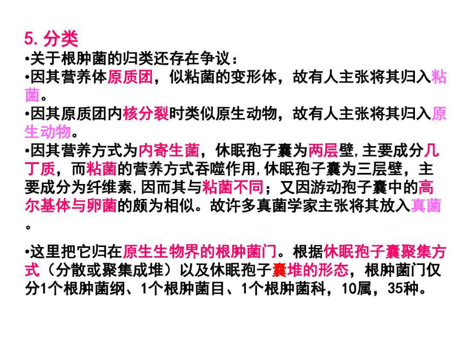 普通植物病理学根肿菌与卵菌共57张课件.ppt_第3页