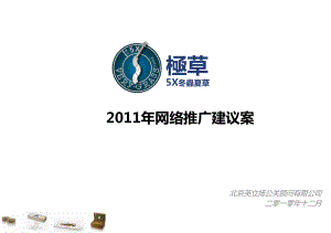 极草网络推广建议案课件.ppt