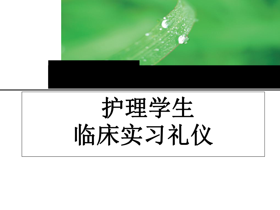 护理学生临床实习礼仪课件(-38张).ppt_第1页