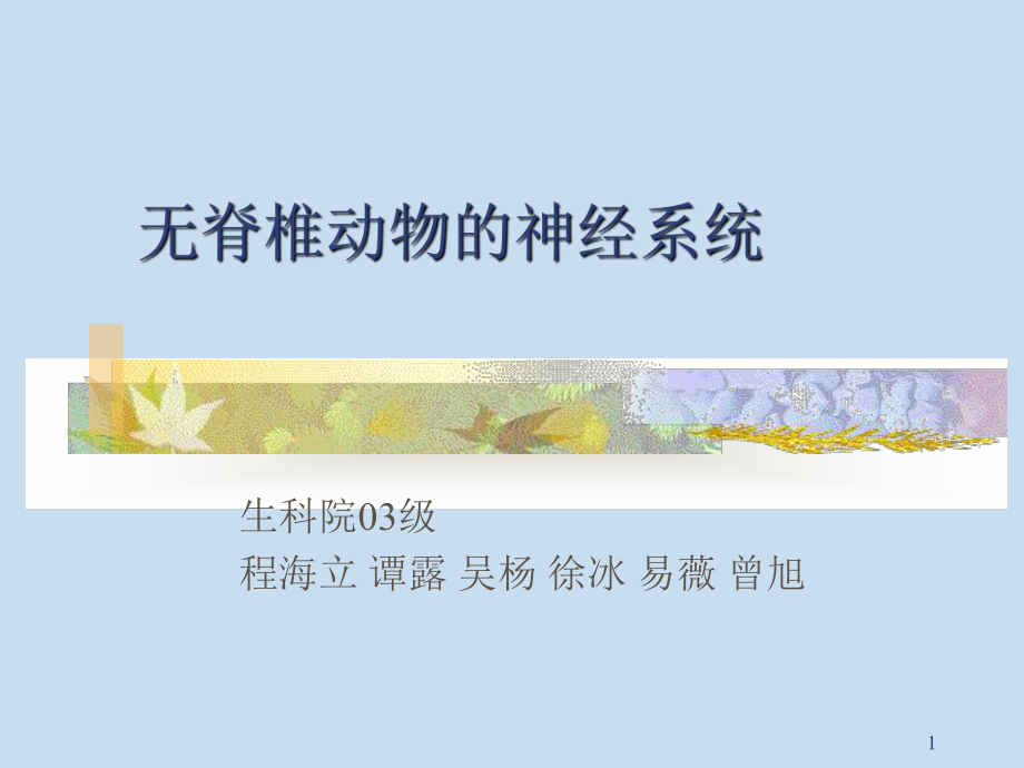 无脊椎动物的神经系统课件.ppt_第1页