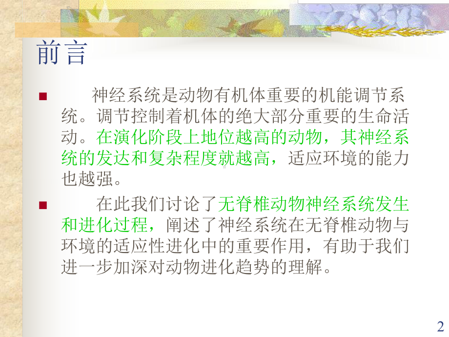 无脊椎动物的神经系统课件.ppt_第2页