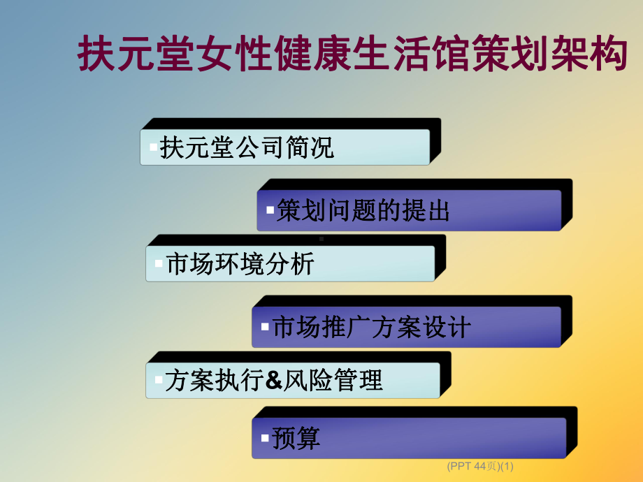 扶元堂女性健康生活馆市场推广策划(-44张)课件.ppt_第2页