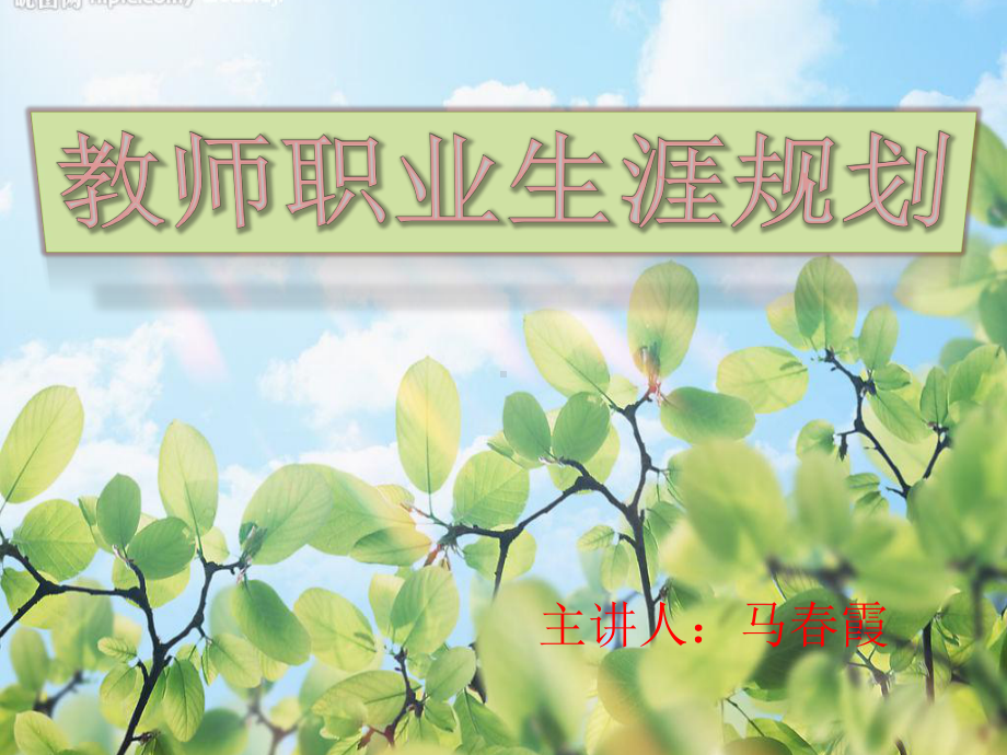 教师职业生涯规划课件.ppt_第2页