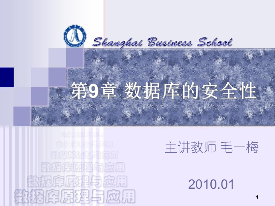 数据库的安全性课件.ppt_第1页