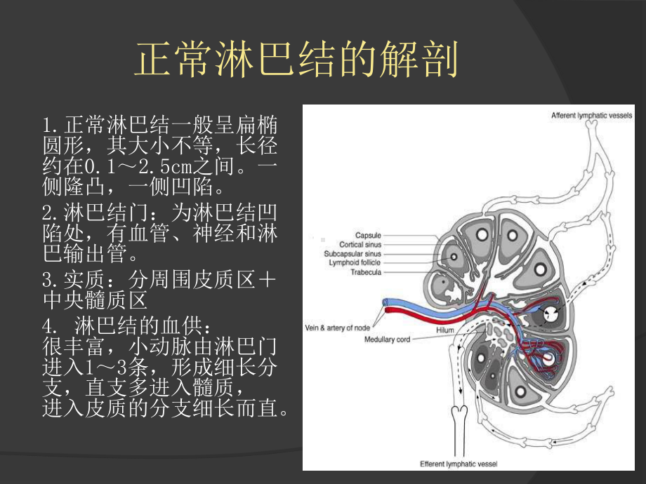 慢性淋巴结炎症课件.ppt_第3页