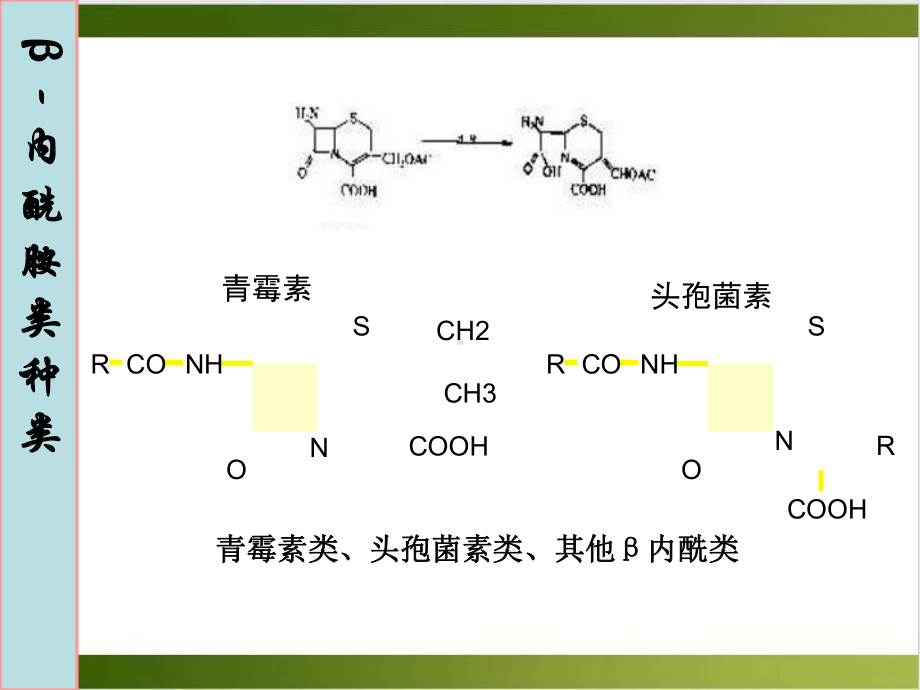 抗菌药物临床合理应用管理参考课件.ppt_第3页