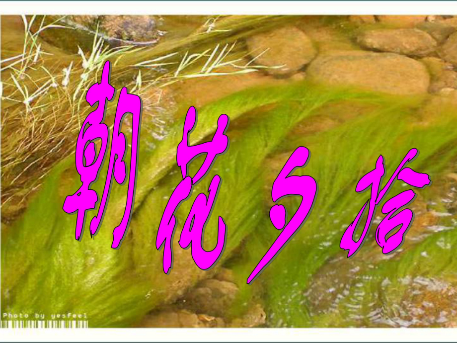 朝花夕拾-完整版课件.ppt_第1页