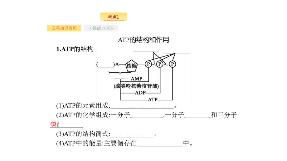 新设计生物人教大一轮复习课件：3单元细胞的能量供应和利用-9-.pptx_第3页