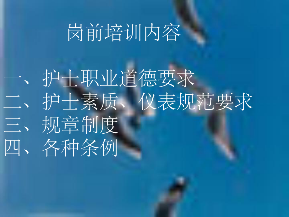 护士岗前培训-课件.ppt_第3页