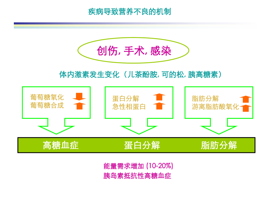 肠内营养支持与配方选择课件.ppt_第2页