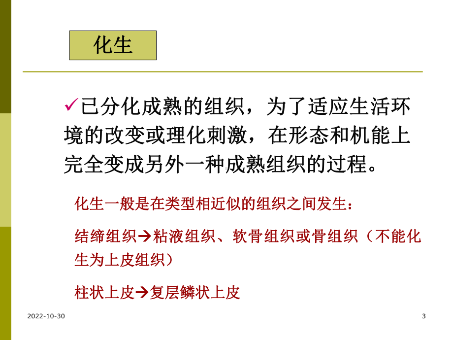 病理学教学课件.pptx_第3页