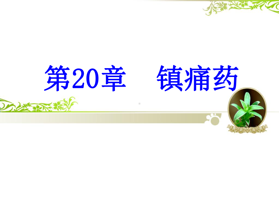 第20章镇痛药护理专科课件.ppt_第1页