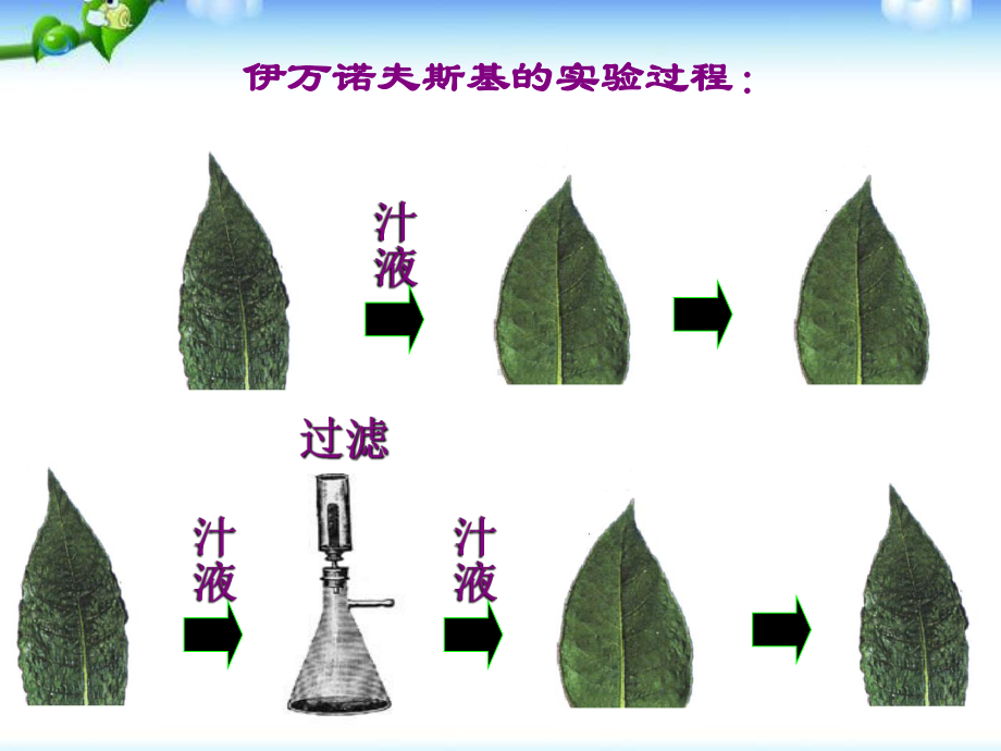 第五章--病毒(30张)课件.ppt_第3页