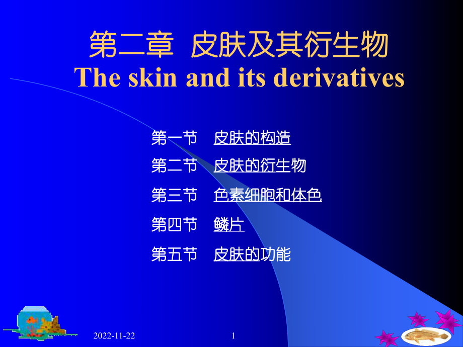 第二章皮肤及其衍生物课件.ppt_第1页