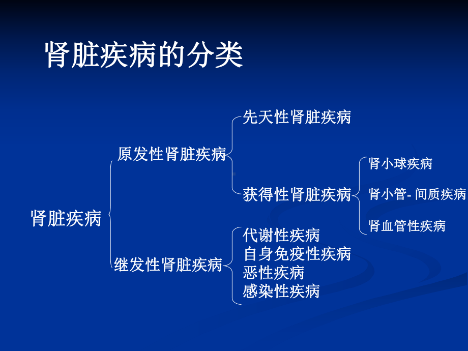 肾脏疾病和诊断思路及技巧课件.ppt_第3页