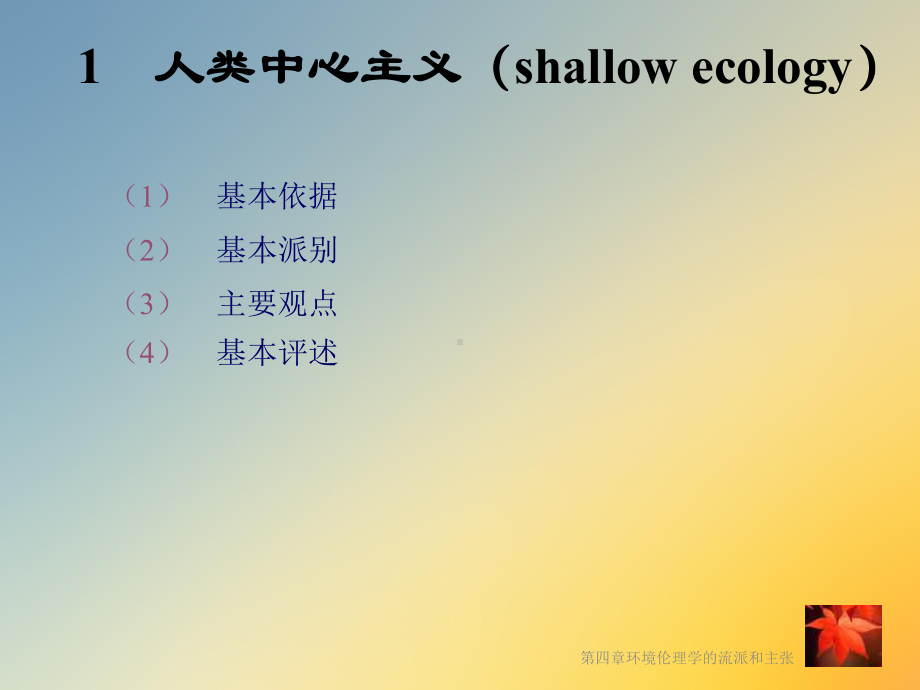 第四章环境伦理学的流派和主张课件.ppt_第3页