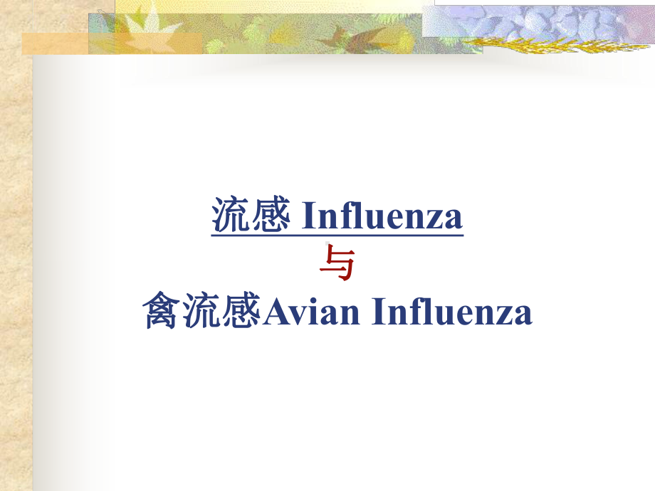 第十九章流感Influenza与禽流感AvianInfluenza课件.ppt_第1页