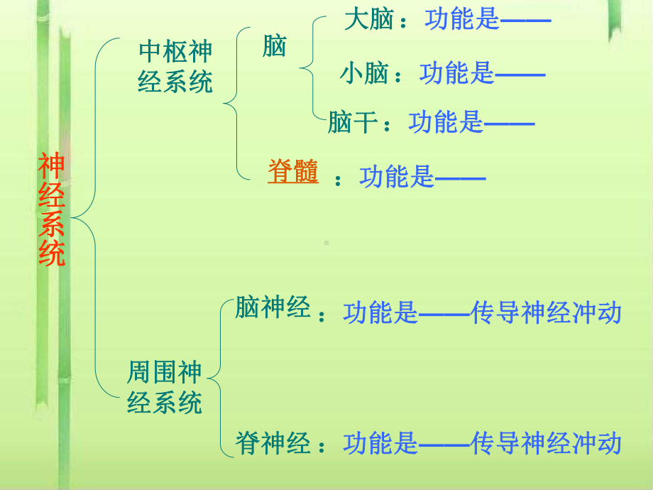 神经系统的组成课件4-人教版.ppt_第2页