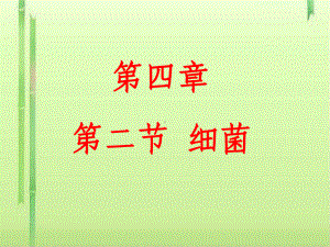 第二节-细菌课件.ppt