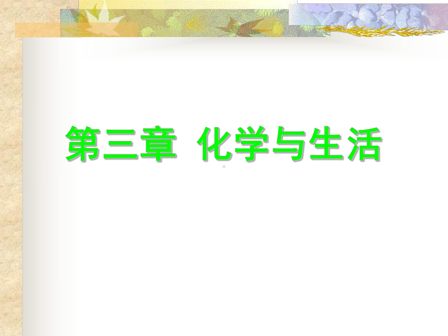 第四节-穿戴及化学课件.ppt_第2页