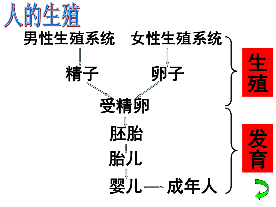 生物和无性生殖课件.ppt_第3页