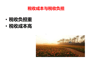 税收成本与税收负担课件.pptx