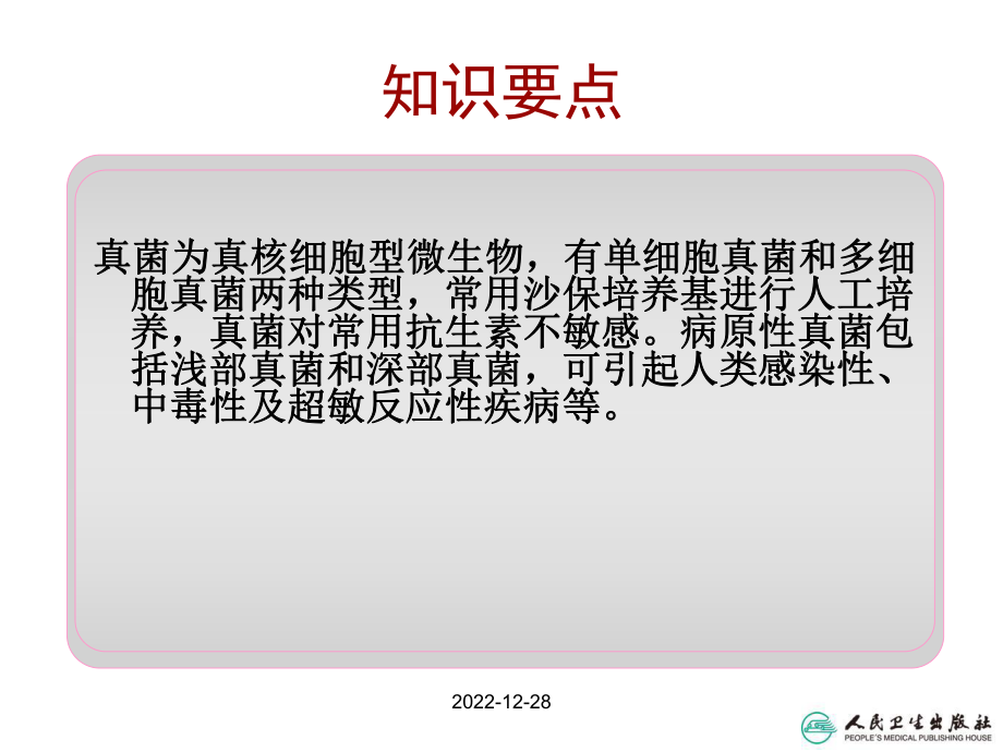 第二十章真菌课件.ppt_第3页