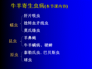 牛羊病寄生虫病-课件-共94页.ppt