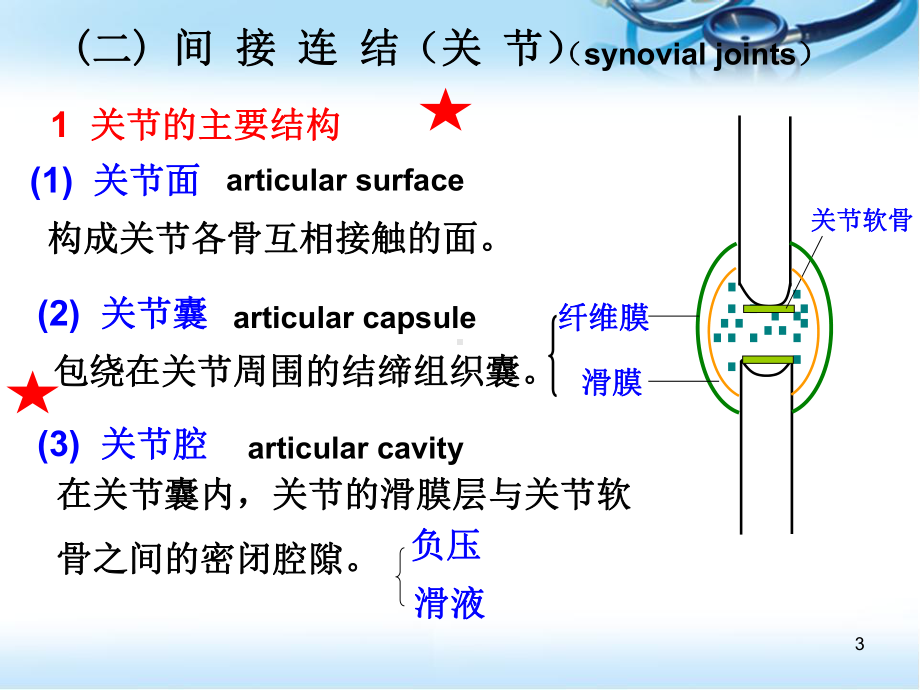 正常人体解剖学关节学医学课件.ppt_第3页