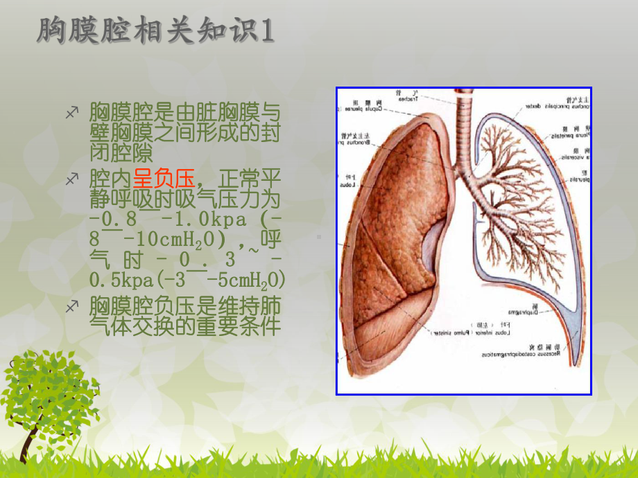 胸腔闭式引流置管患者的护理课件.ppt_第2页