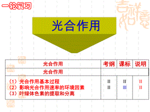 第12讲：光合作用课件.ppt