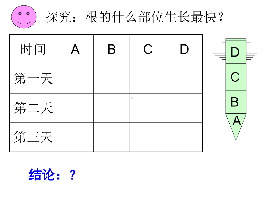 植株的生长初中生物课件-2.ppt_第3页