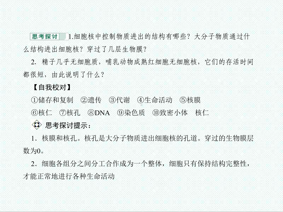 高中生物课件-中图版高中生物必修1第二节《核酸与细胞.ppt_第3页