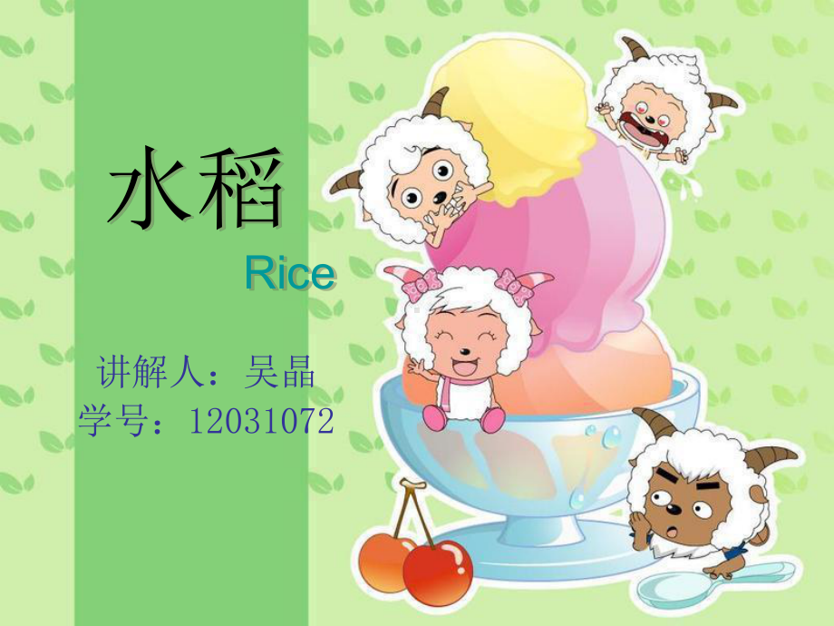 水稻市场行情分析课件.ppt_第1页