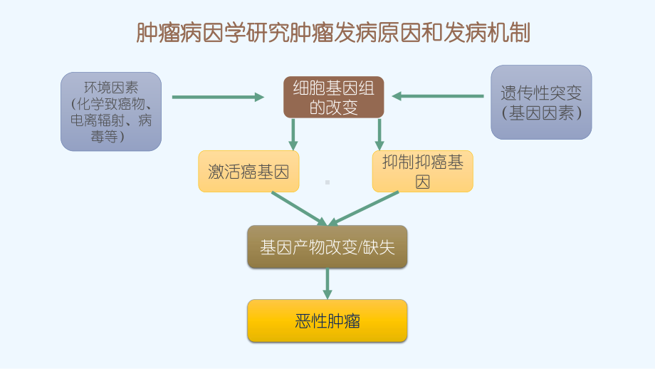 肿瘤病因学课件.pptx_第1页