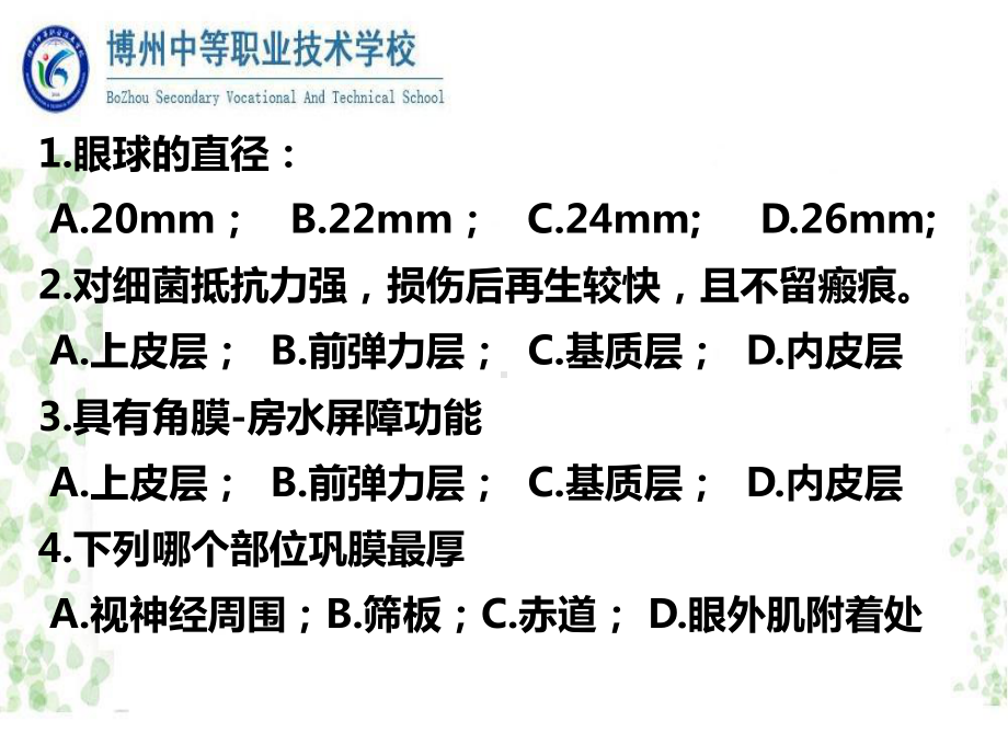 眼科病人的护理概述解析课件.ppt_第2页