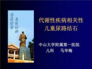 肾结石业务学习-课件.ppt