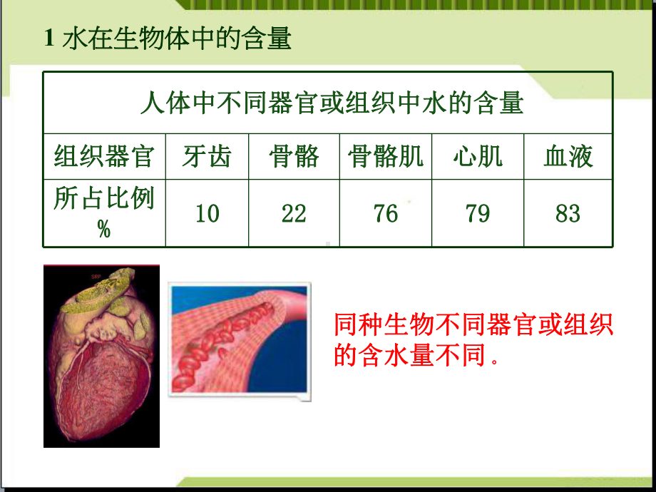 高中生物新教材细胞中的无机物优秀课件1.ppt_第3页