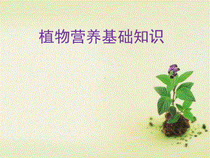 植物营养基础知识实用版课件.ppt