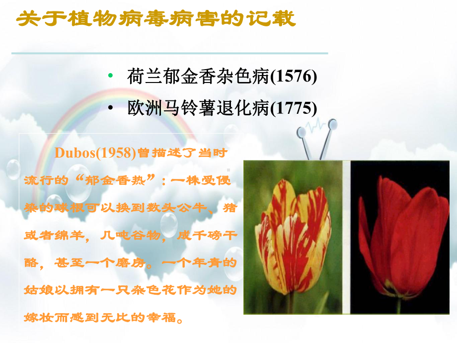 植物病毒的危害和防治课件.ppt_第2页