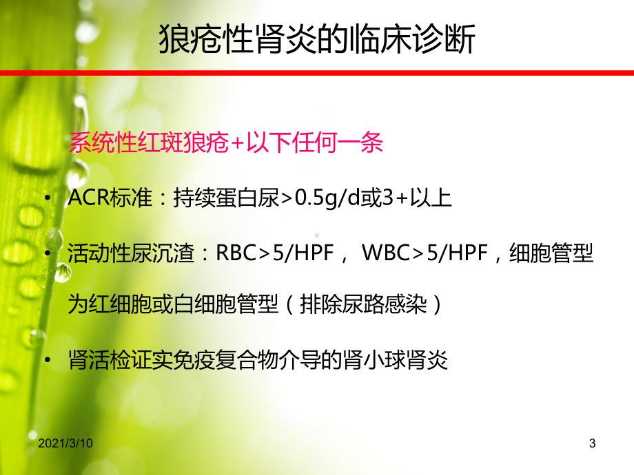 狼疮性肾炎的临床诊治课件.ppt_第3页