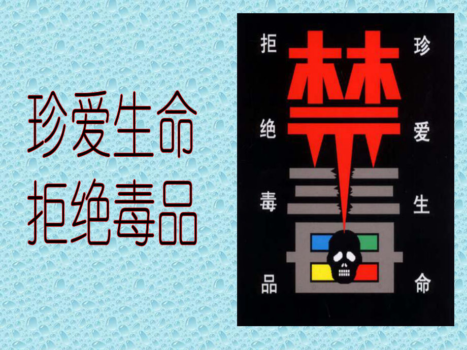 版主题班会-禁毒主题班会课件.ppt_第1页