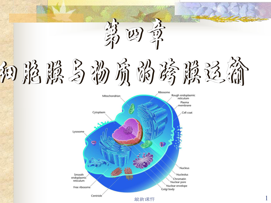 细胞膜与物质的跨膜运输课件.ppt_第1页